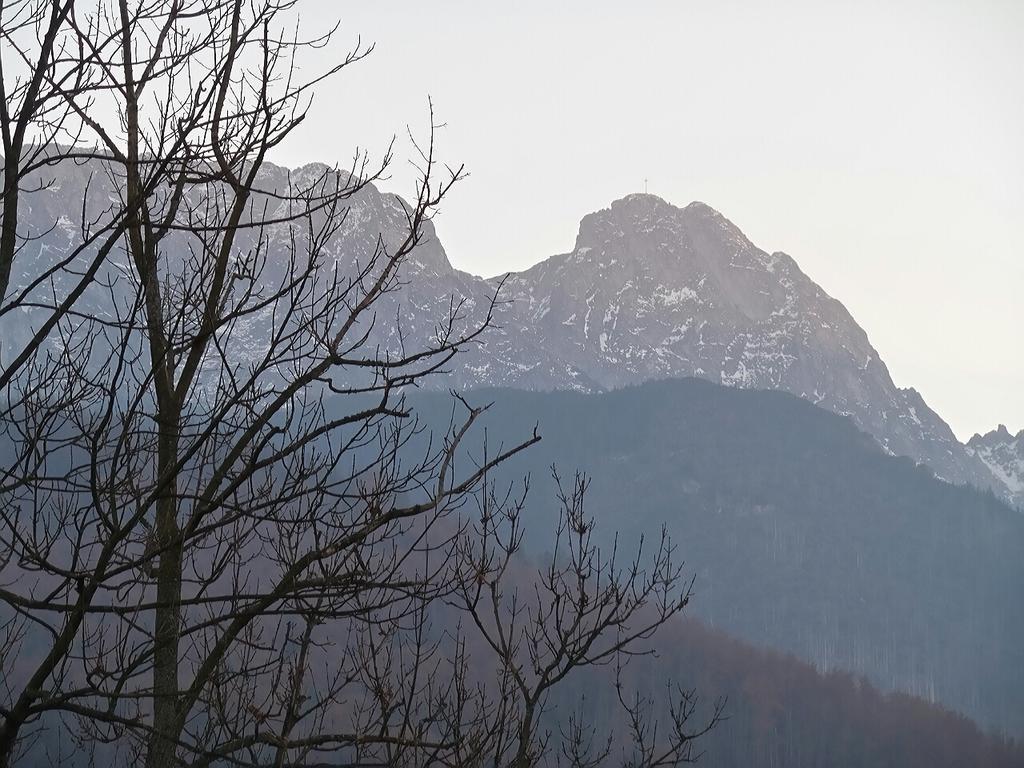 Willa Pod Halami Apartment Zakopane Exterior photo